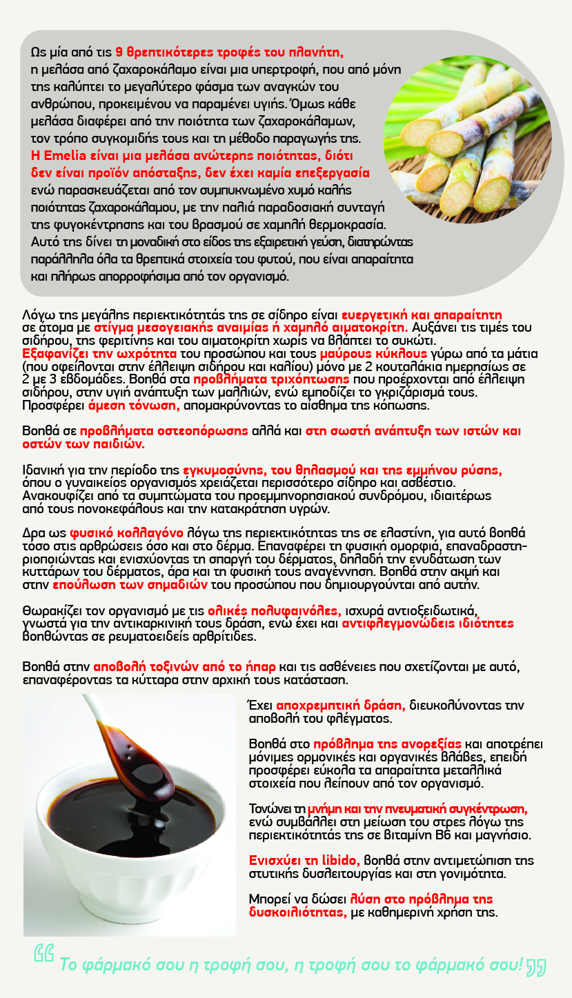 Μελάσα Emelia (Εμέλια) 350γρ